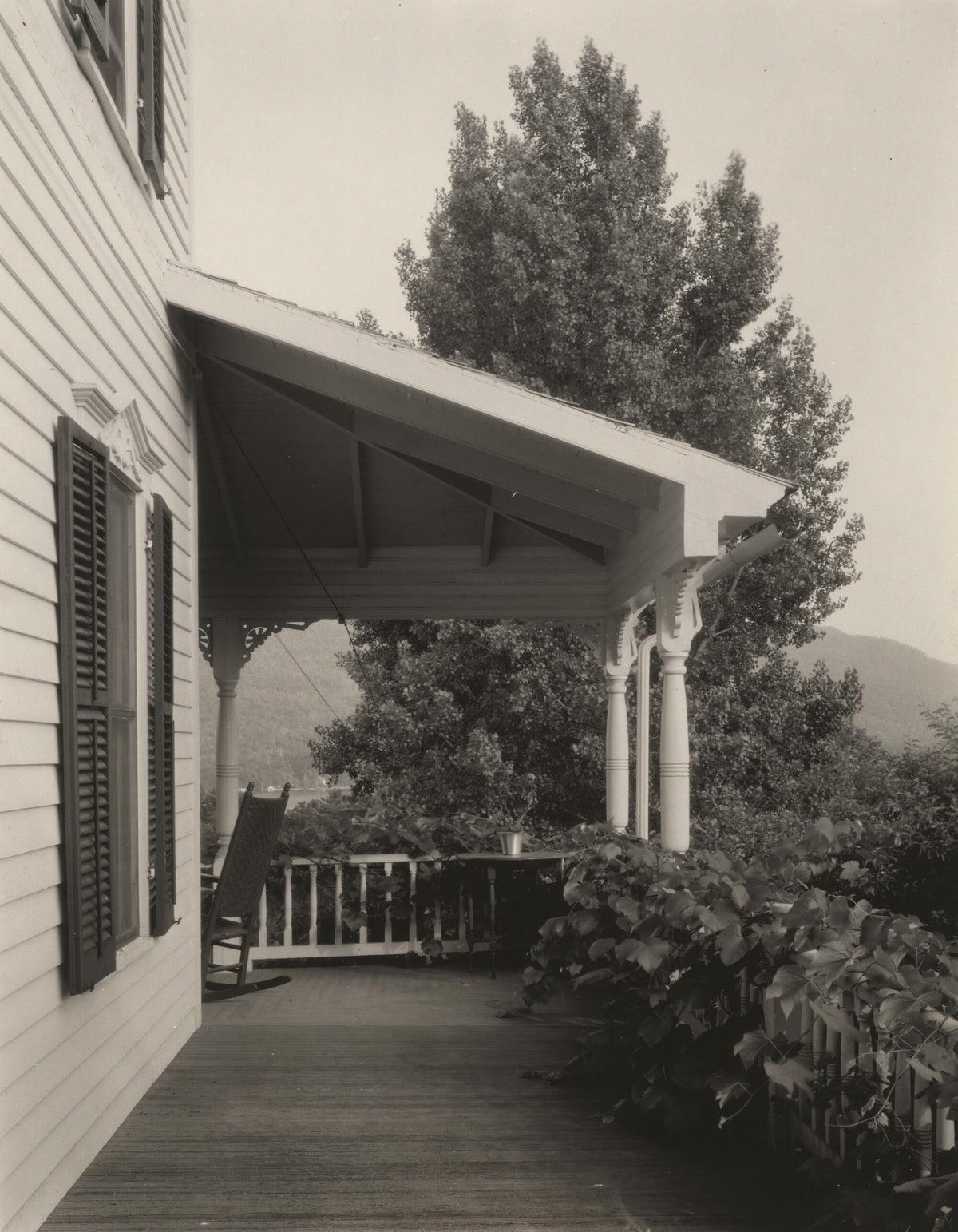 House, Leaves and Tree