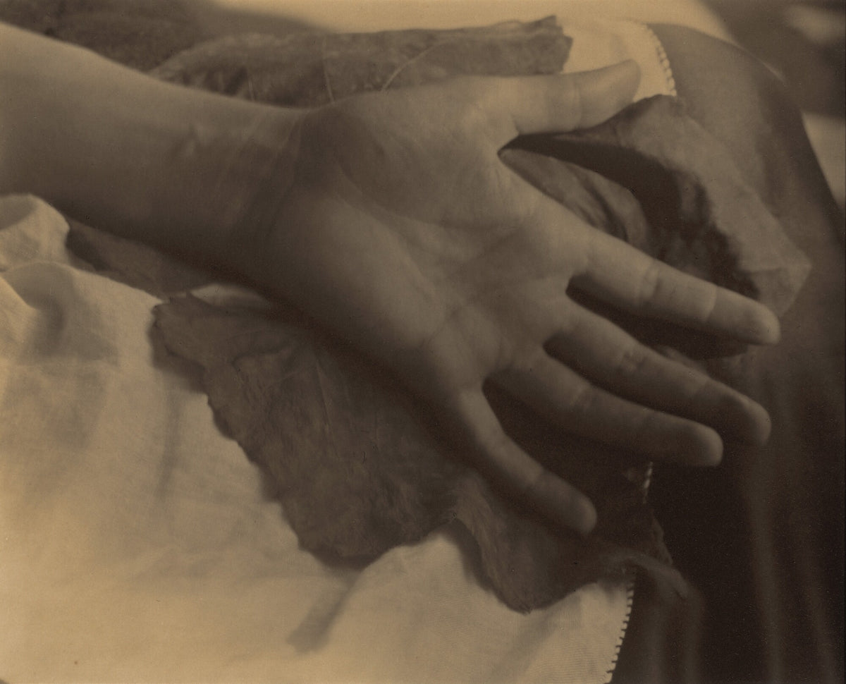 Georgia O'Keeffe—Hand and Grape Leaf