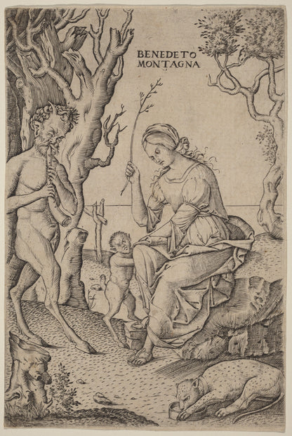 Satyr Family