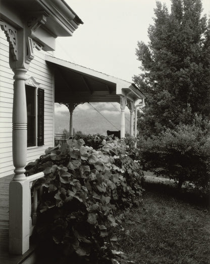 House and Grape Leaves