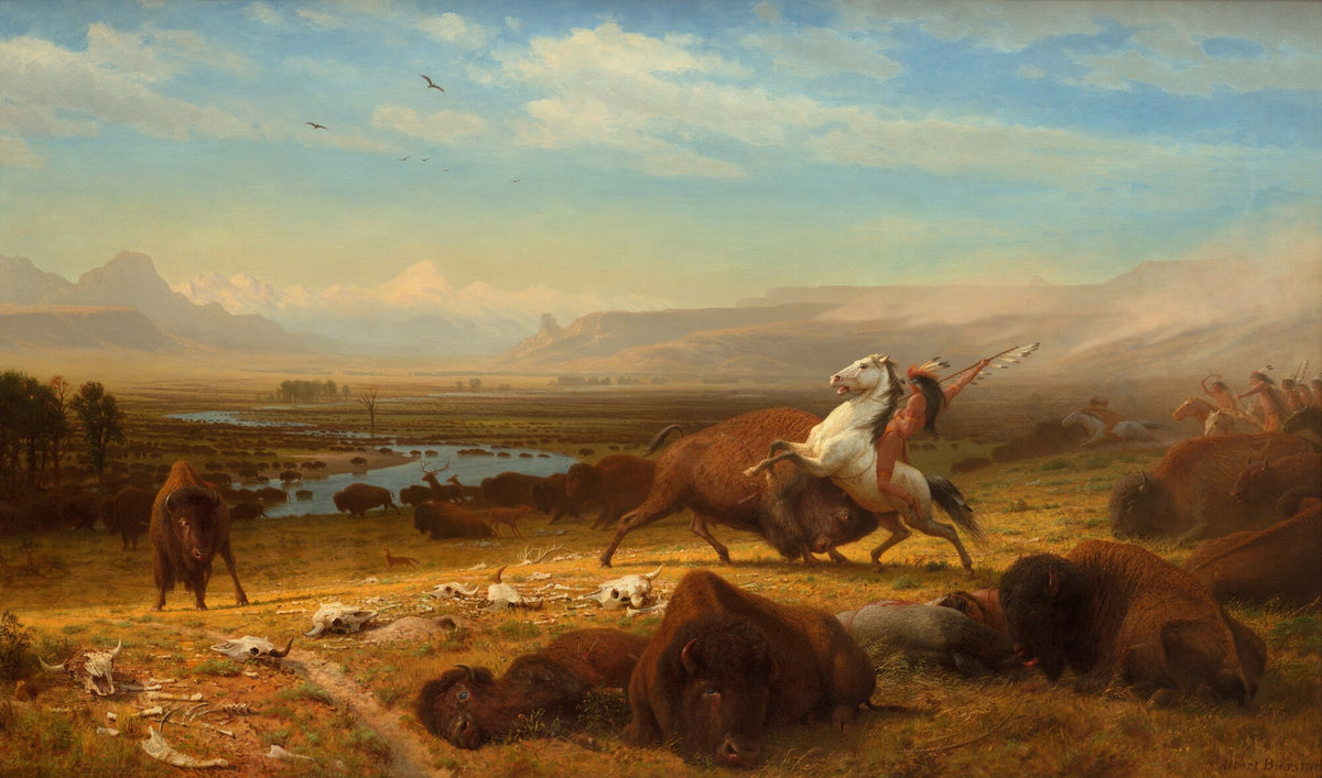 The Last of the Buffalo