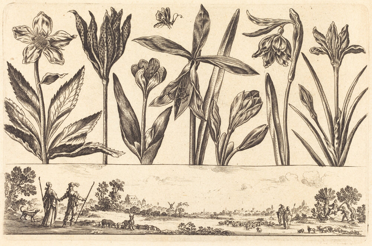 Flower Print no.4