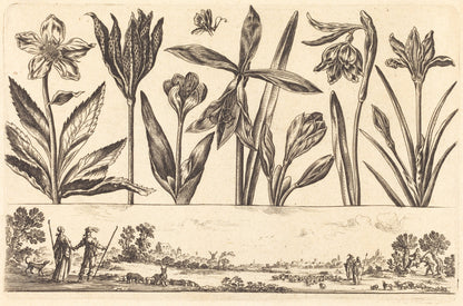 Flower Print no.4