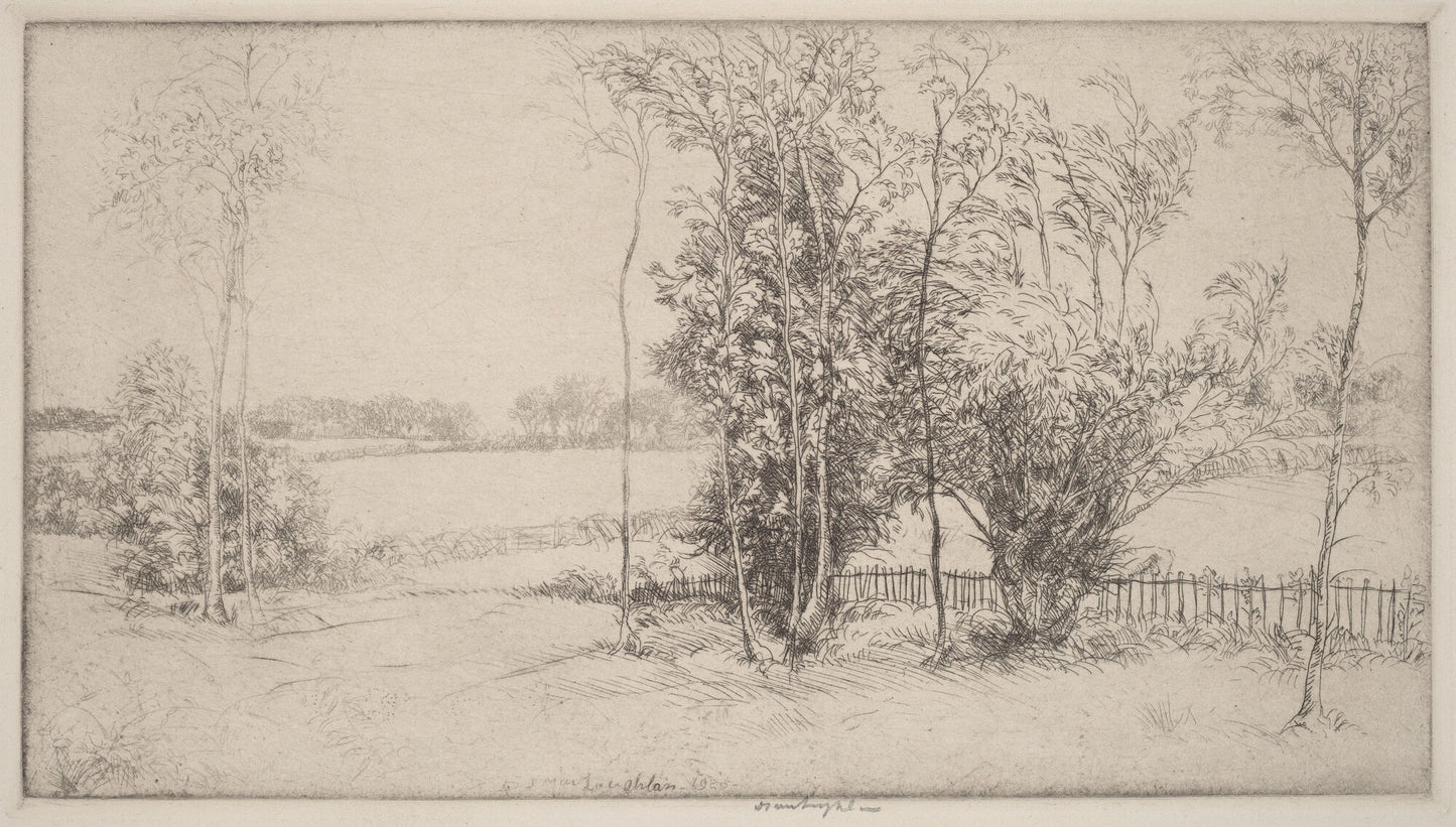 Sussex Landscape