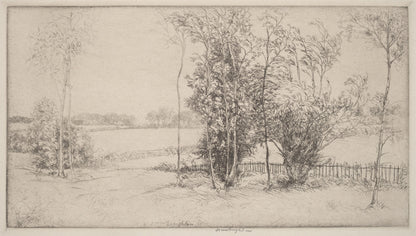 Sussex Landscape
