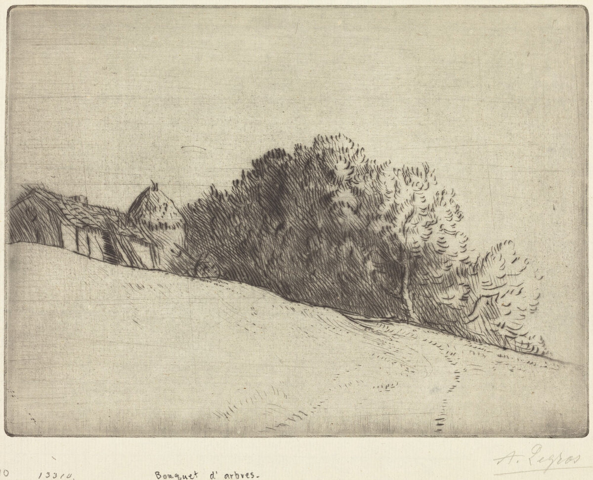 Stand of Trees (Bouquet d'arbres)