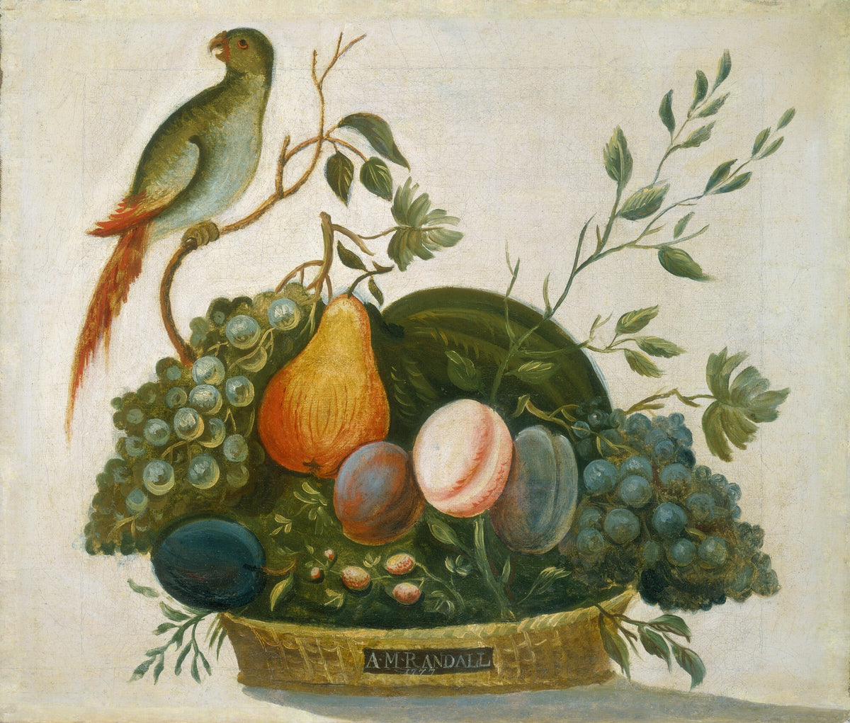 Basket of Fruit with Parrot