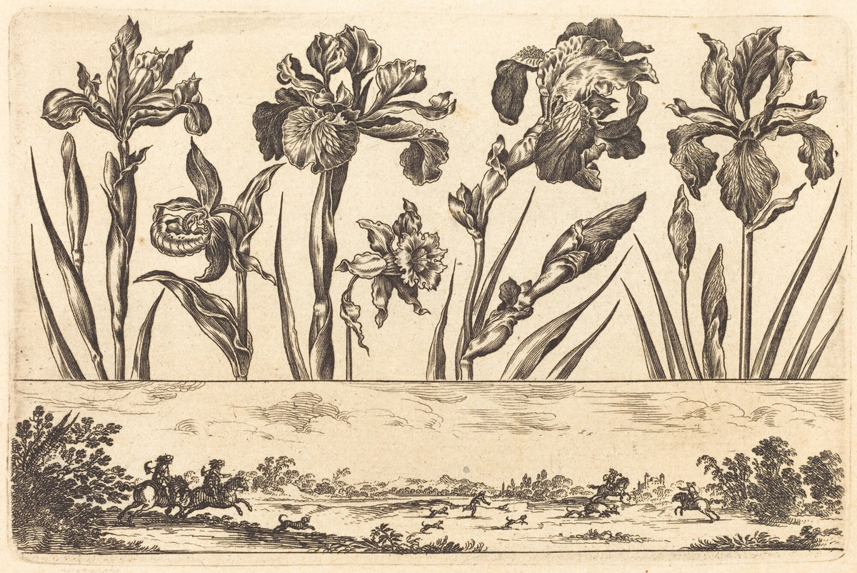 Flower Print no.3