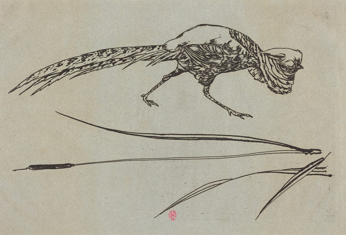 Pheasant and Cattail (Faisan et roseau)