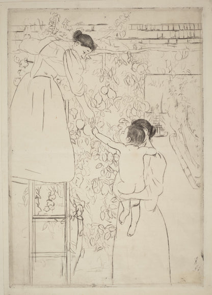 Gathering Fruit
