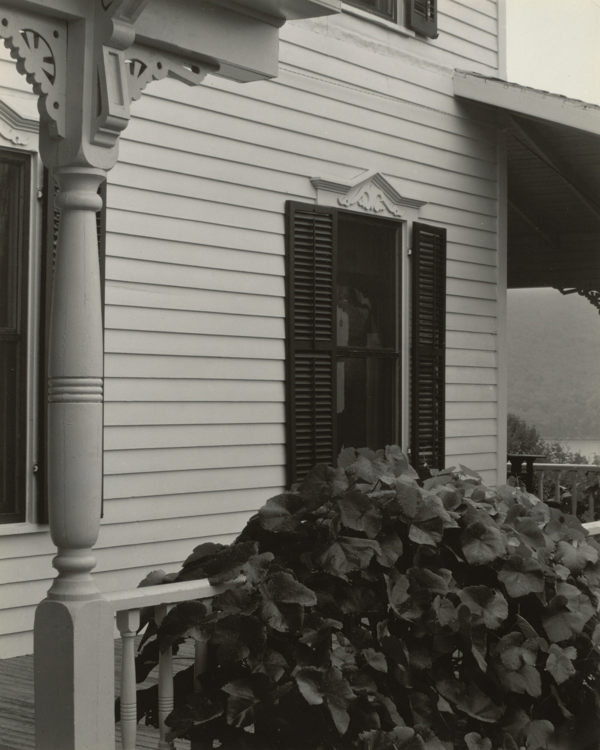 House and Grape Leaves