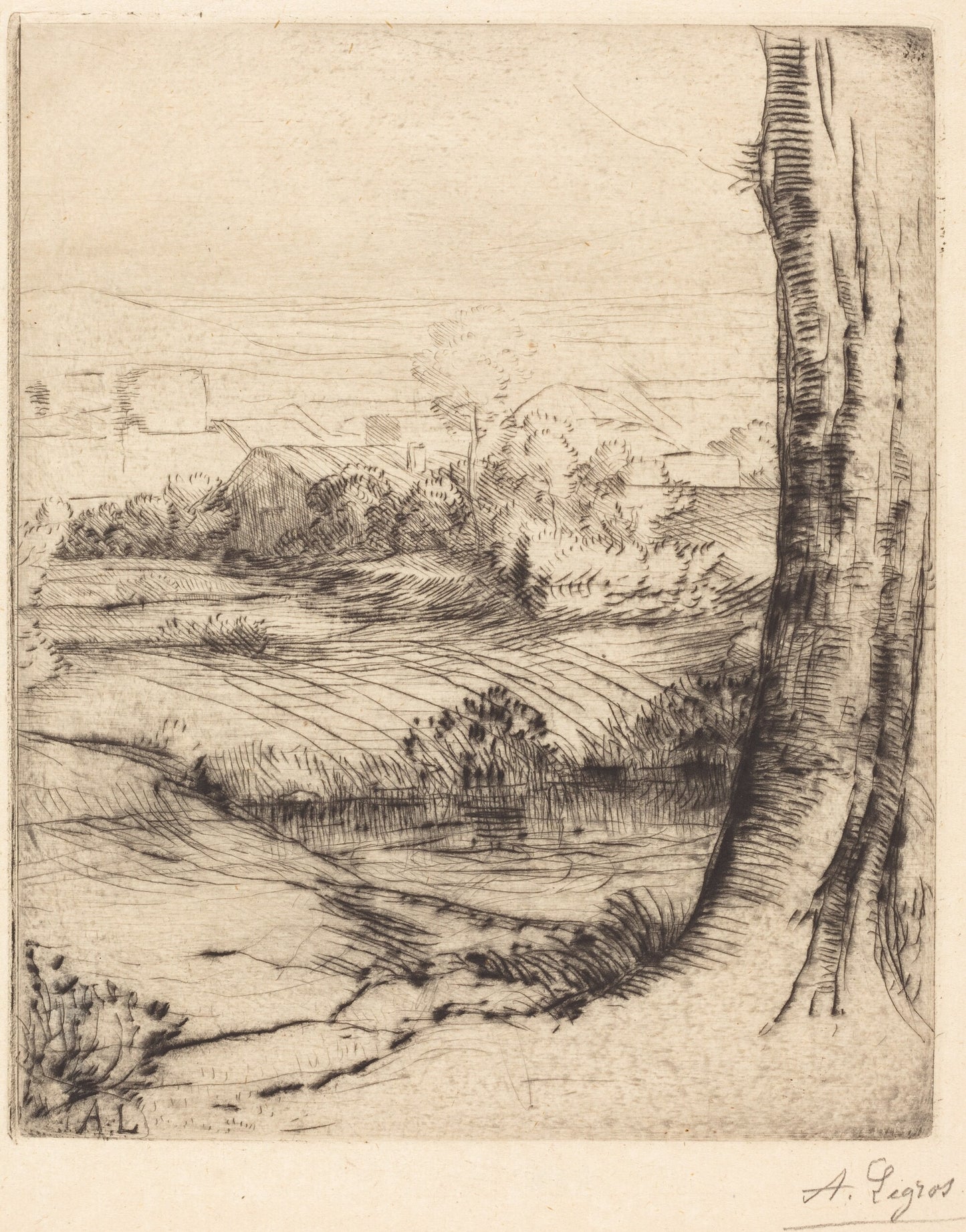 View of Reeds (Coin de roseau)