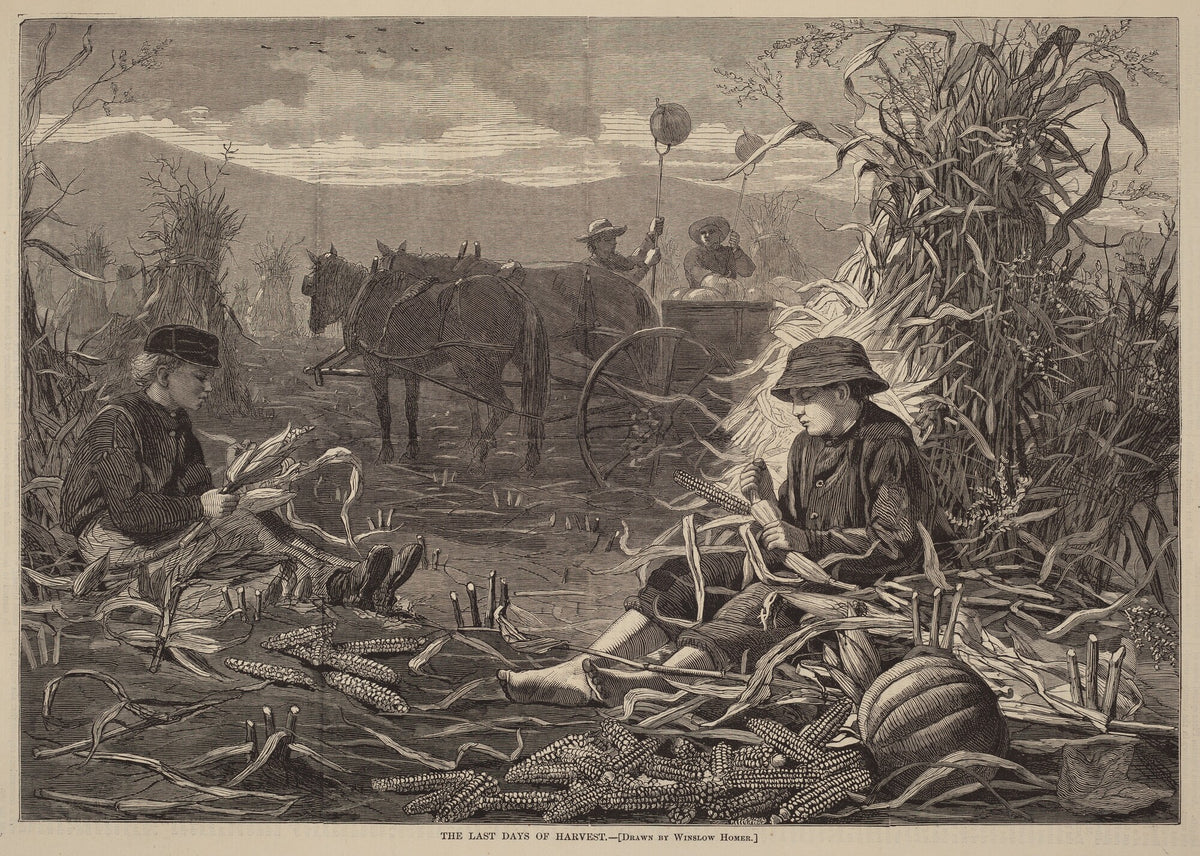 The Last Days of Harvest