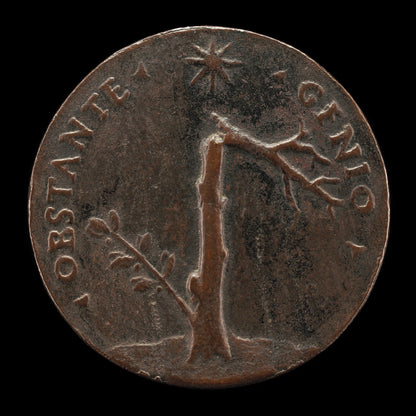 Broken Laurel Tree with Leafy Branch [reverse]