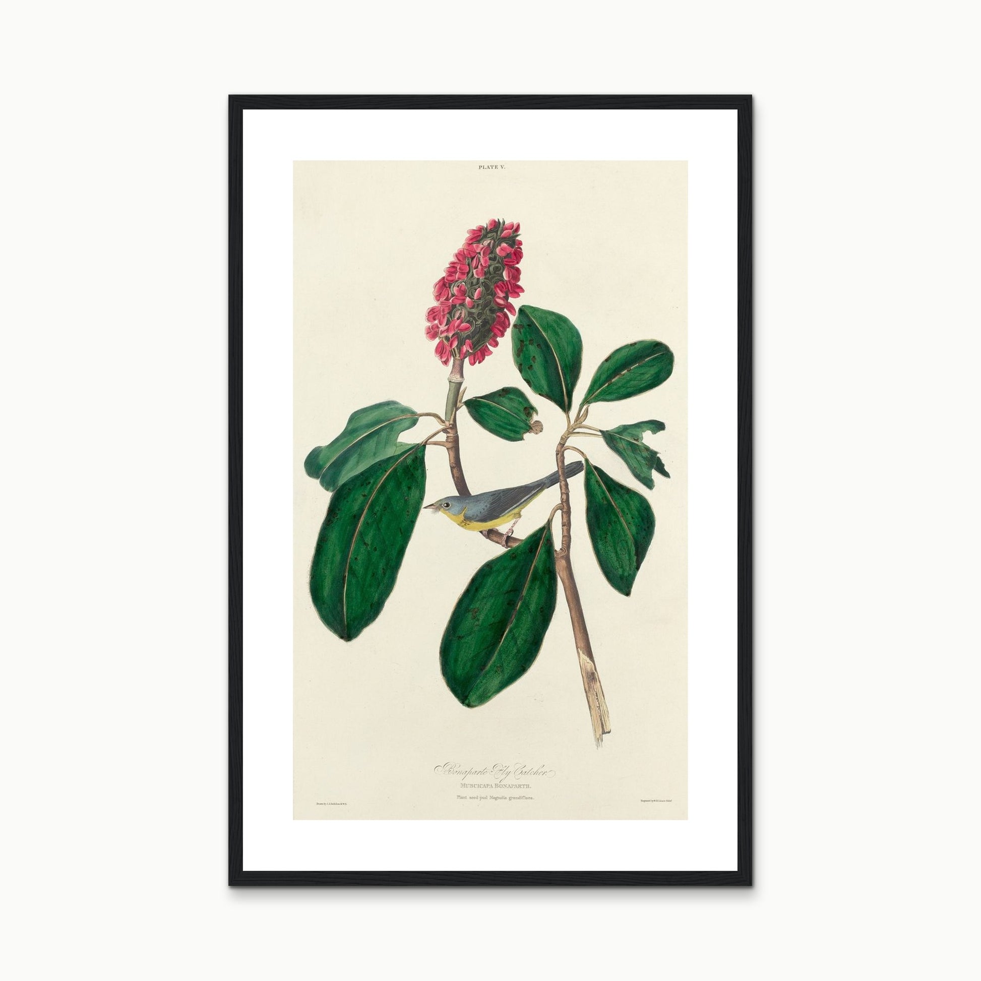 Orlonzo - PRODUCT STUDIO HERO