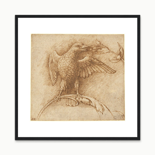 Orlonzo - PRODUCT STUDIO HERO