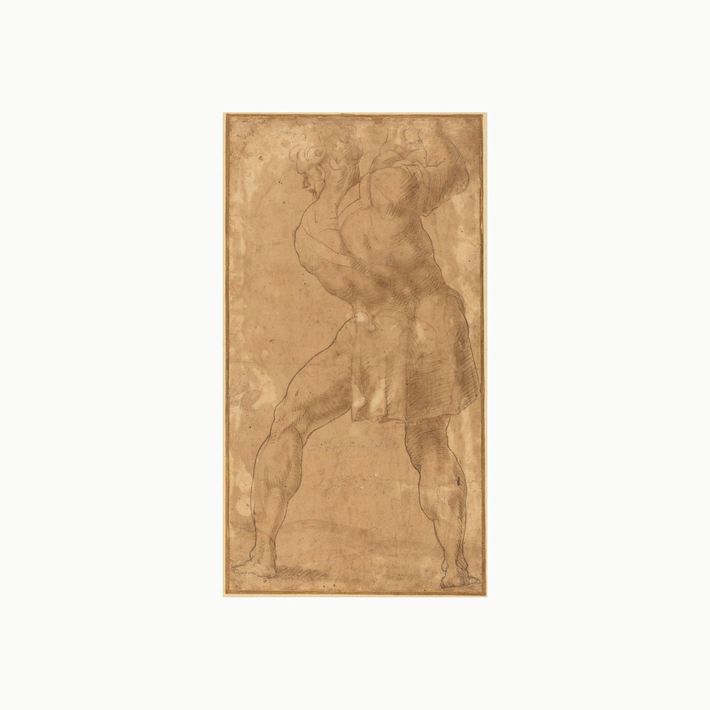 Orlonzo - PRODUCT STUDIO HERO