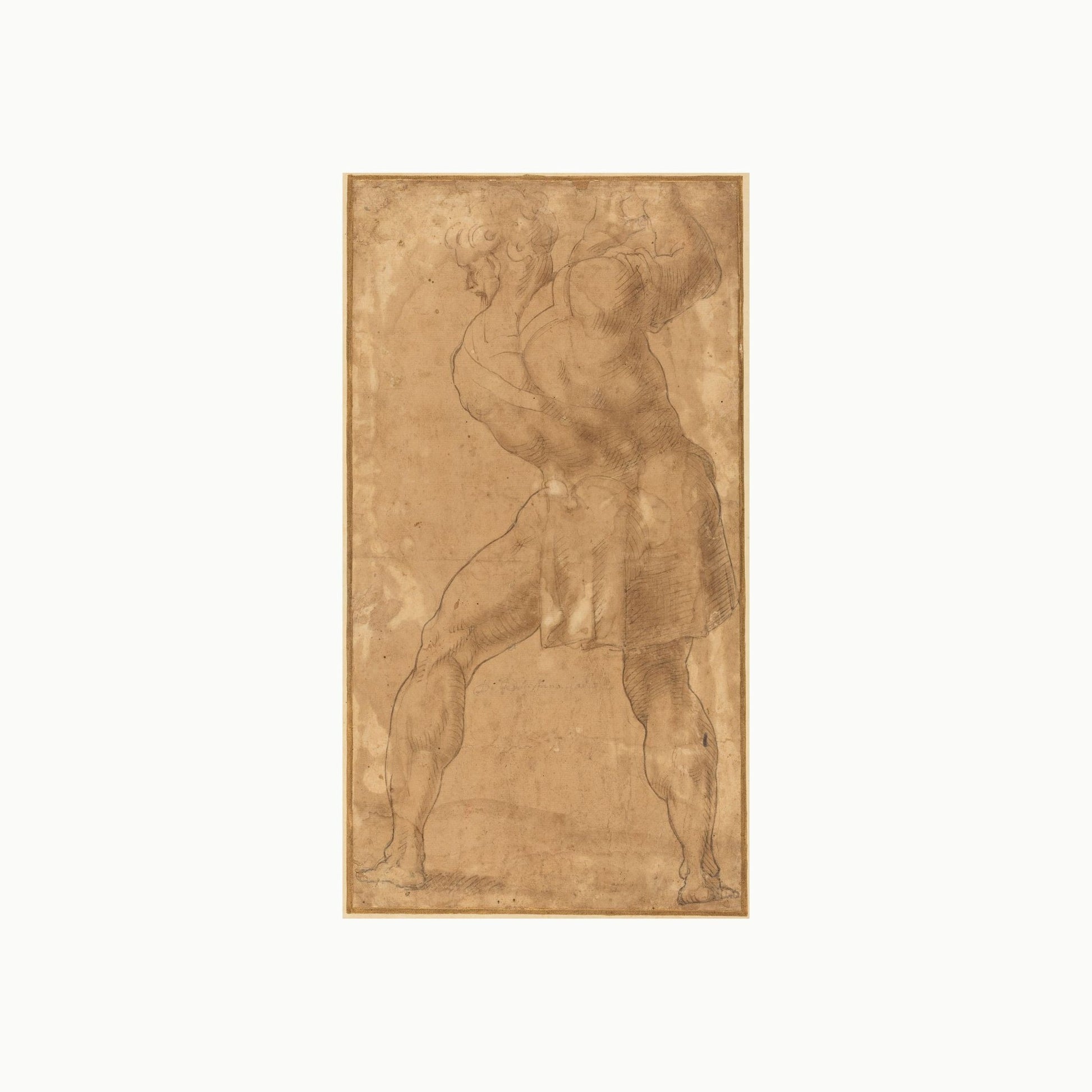 Orlonzo - PRODUCT STUDIO HERO