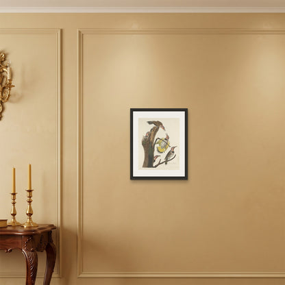Orlonzo - FRAMED CANVAS BLACK 40x50cm16x20 ROOM