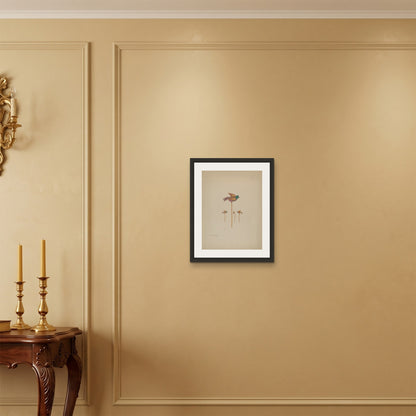 Orlonzo - FRAMED CANVAS BLACK 40x50cm16x20 ROOM
