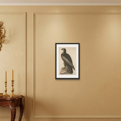 Orlonzo - FRAMED CANVAS BLACK 40x60cm16x24 ROOM