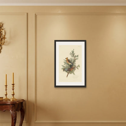 Orlonzo - FRAMED CANVAS BLACK 50x75cm20x30 ROOM