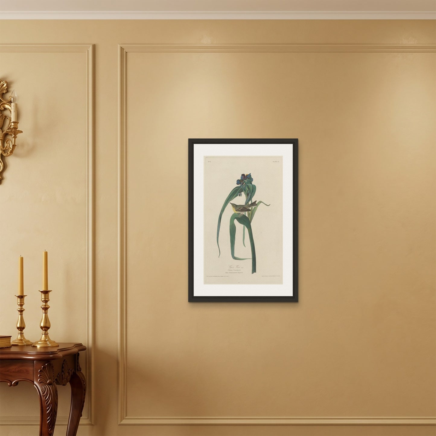 Orlonzo - FRAMED CANVAS BLACK 50x75cm20x30 ROOM