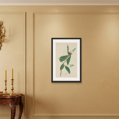 Orlonzo - FRAMED CANVAS BLACK 50x75cm20x30 ROOM