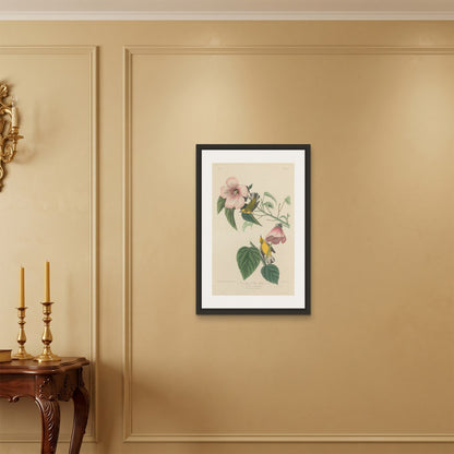 Orlonzo - FRAMED CANVAS BLACK 50x75cm20x30 ROOM