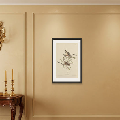Orlonzo - FRAMED CANVAS BLACK 50x75cm20x30 ROOM