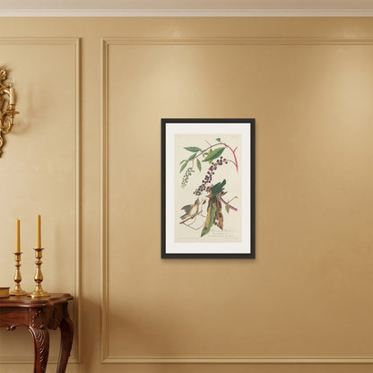 Orlonzo - FRAMED CANVAS BLACK 50x75cm20x30 ROOM