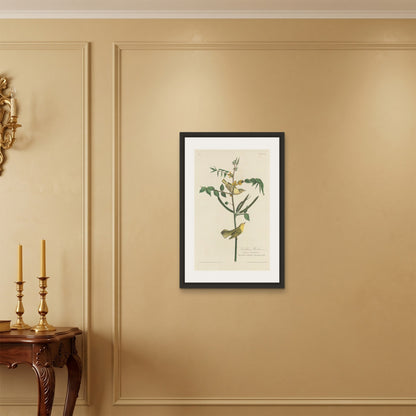 Orlonzo - FRAMED CANVAS BLACK 50x75cm20x30 ROOM