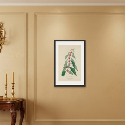 Orlonzo - FRAMED CANVAS BLACK 50x75cm20x30 ROOM