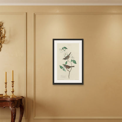 Orlonzo - FRAMED CANVAS BLACK 50x75cm20x30 ROOM