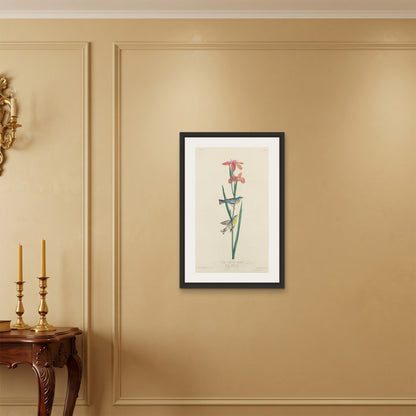 Orlonzo - FRAMED CANVAS BLACK 50x75cm20x30 ROOM