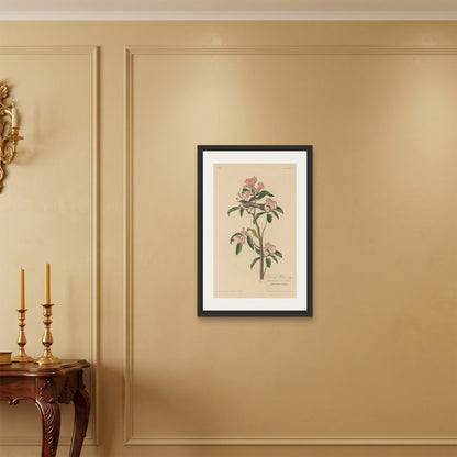 Orlonzo - FRAMED CANVAS BLACK 50x75cm20x30 ROOM