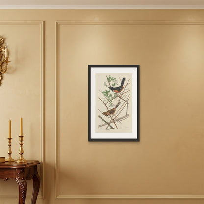 Orlonzo - FRAMED CANVAS BLACK 50x75cm20x30 ROOM