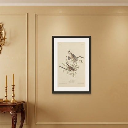 Orlonzo - FRAMED CANVAS BLACK 60x90cm24x36 ROOM