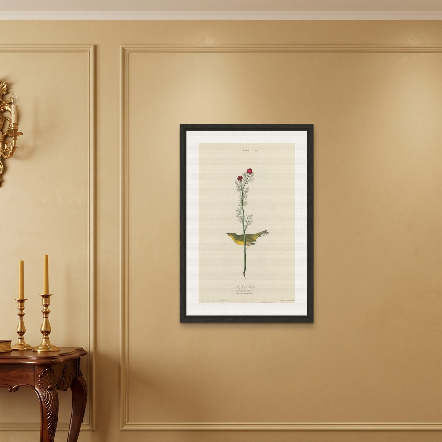 Orlonzo - FRAMED CANVAS BLACK 60x90cm24x36 ROOM