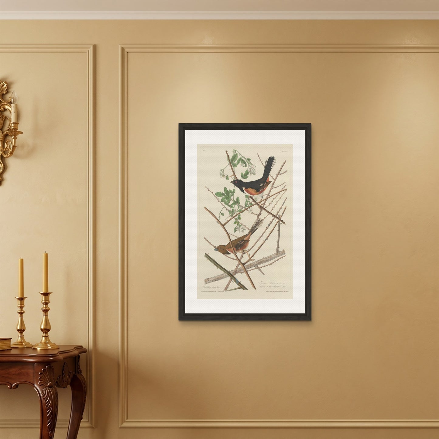 Orlonzo - FRAMED CANVAS BLACK 60x90cm24x36 ROOM