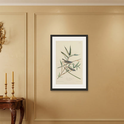 Orlonzo - FRAMED CANVAS BLACK 60x90cm24x36 ROOM