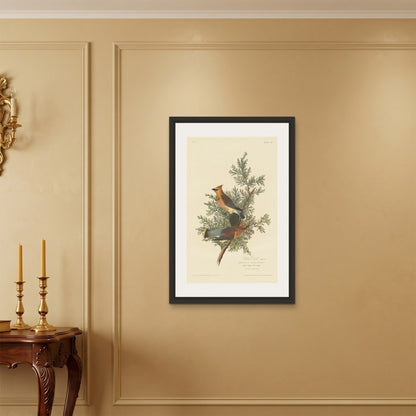 Orlonzo - FRAMED CANVAS BLACK 60x90cm24x36 ROOM