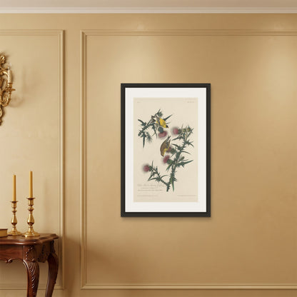 Orlonzo - FRAMED CANVAS BLACK 60x90cm24x36 ROOM