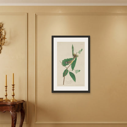 Orlonzo - FRAMED CANVAS BLACK 60x90cm24x36 ROOM