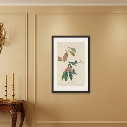 Orlonzo - FRAMED CANVAS BLACK 60x90cm24x36 ROOM
