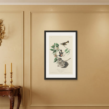 Orlonzo - FRAMED CANVAS BLACK 60x90cm24x36 ROOM