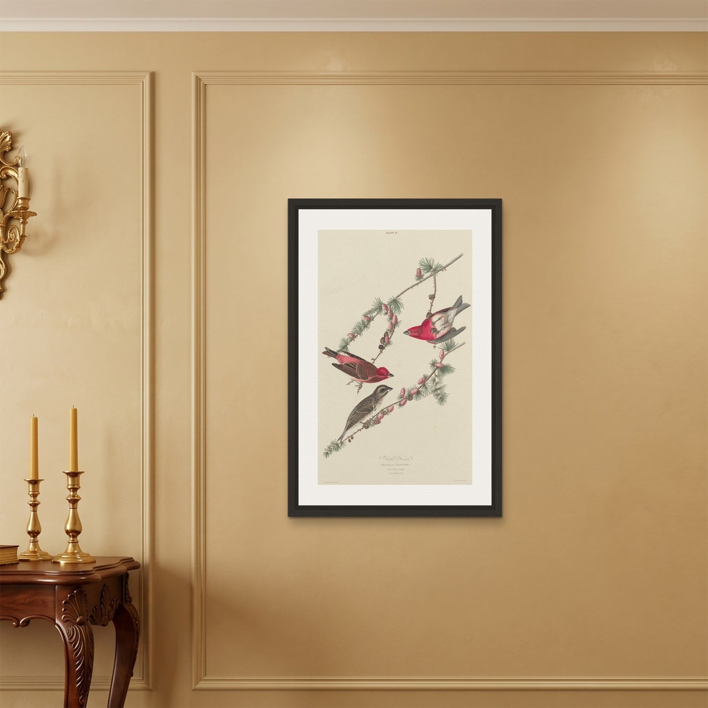 Orlonzo - FRAMED CANVAS BLACK 60x90cm24x36 ROOM