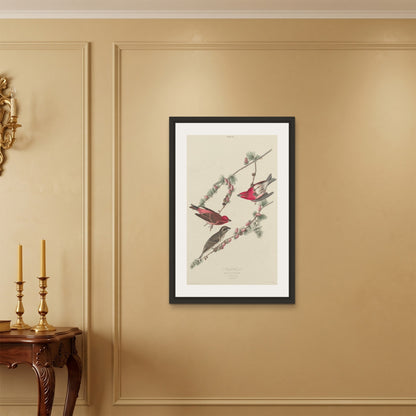Orlonzo - FRAMED CANVAS BLACK 60x90cm24x36 ROOM