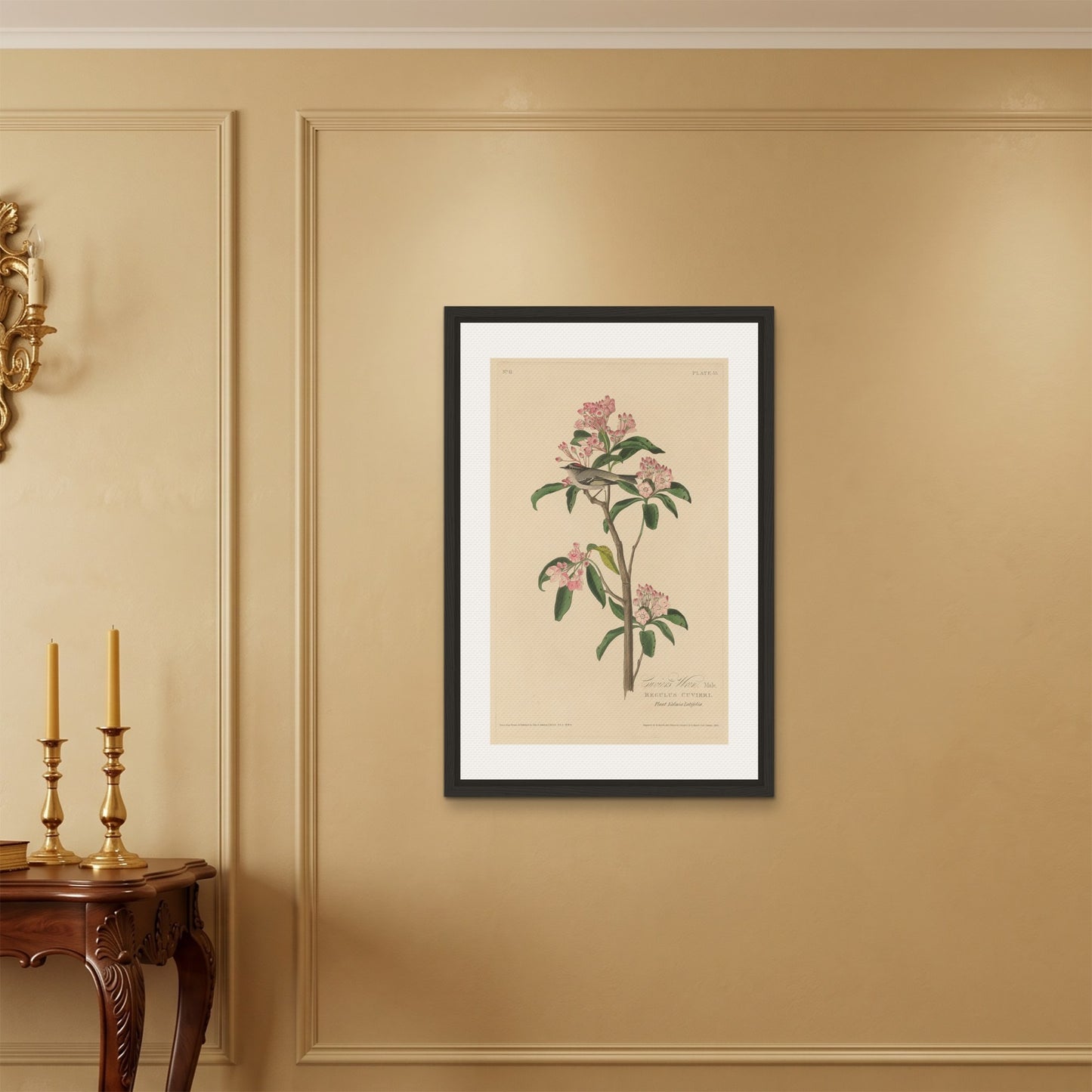 Orlonzo - FRAMED CANVAS BLACK 60x90cm24x36 ROOM