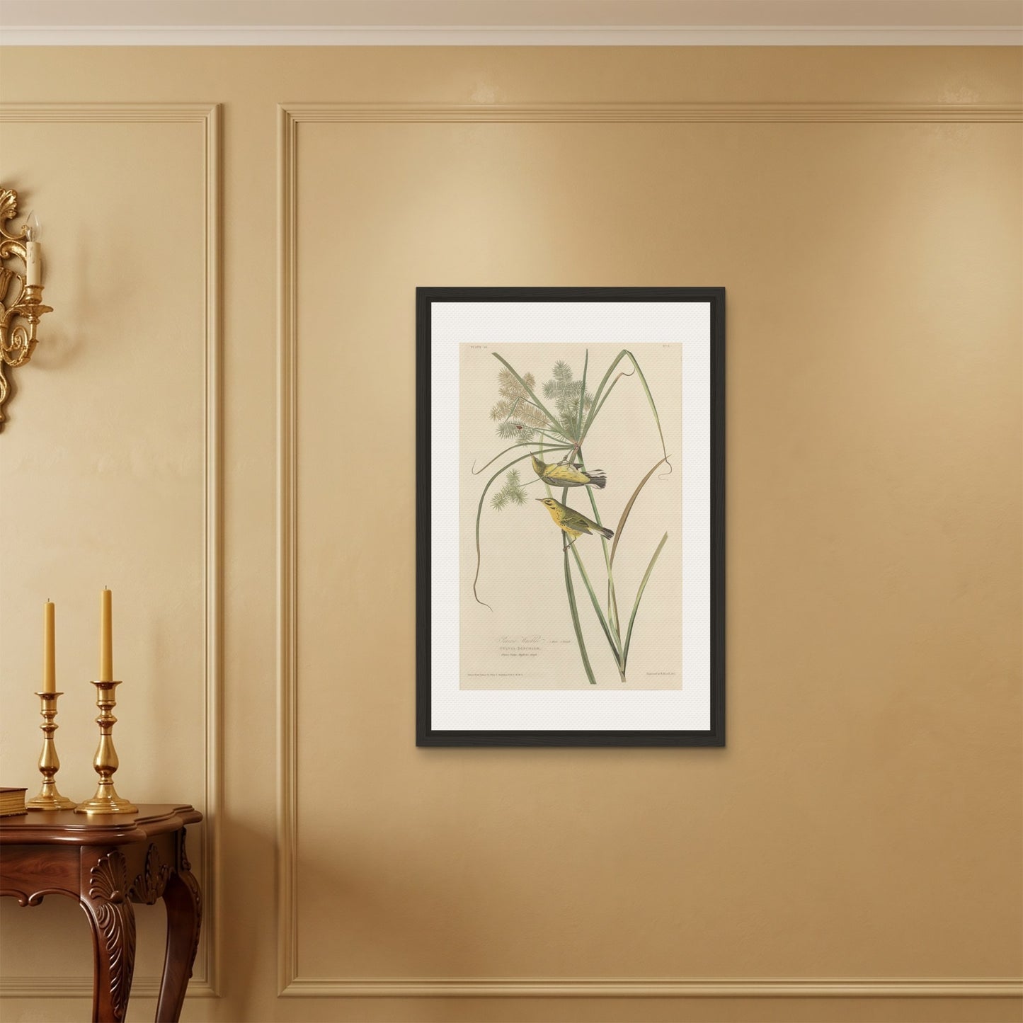 Orlonzo - FRAMED CANVAS BLACK 60x90cm24x36 ROOM